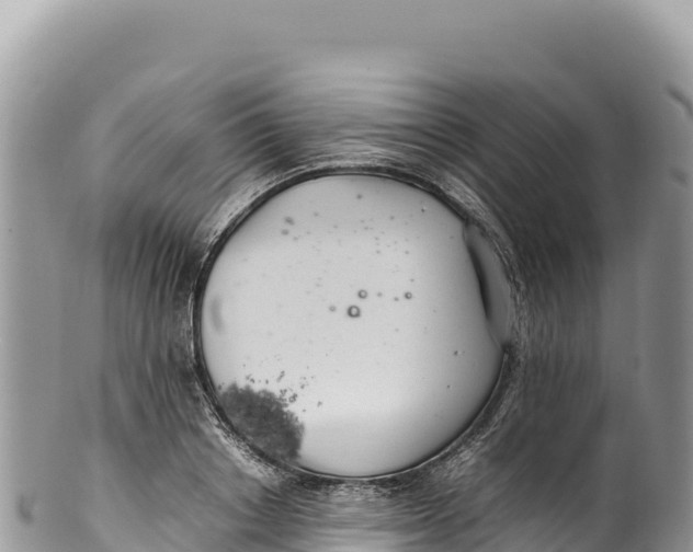 X0000100220842200806201506