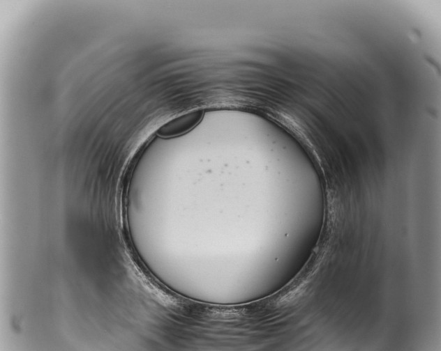 X0000100220843200806201506