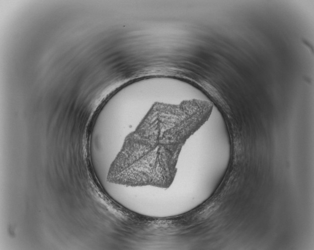 X0000100220846200806201506