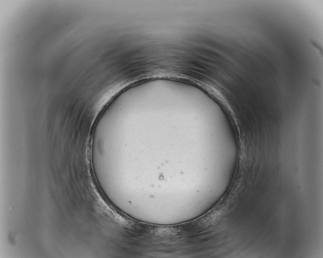 X0000100220847200806201506