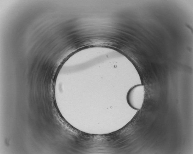 X0000100220848200806201506