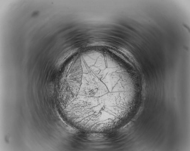 X0000100220849200806201506