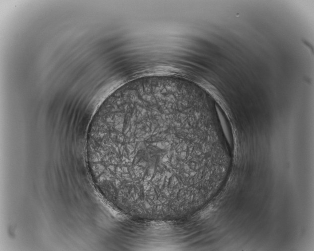 X0000100220850200806201506