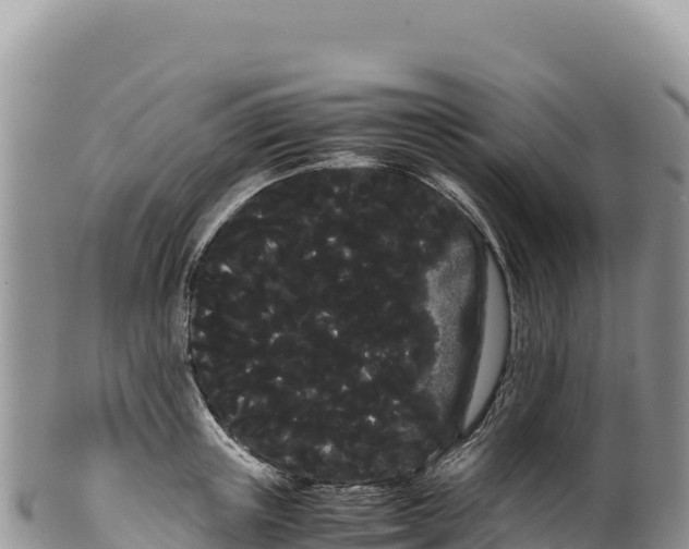 X0000100220851200806201506