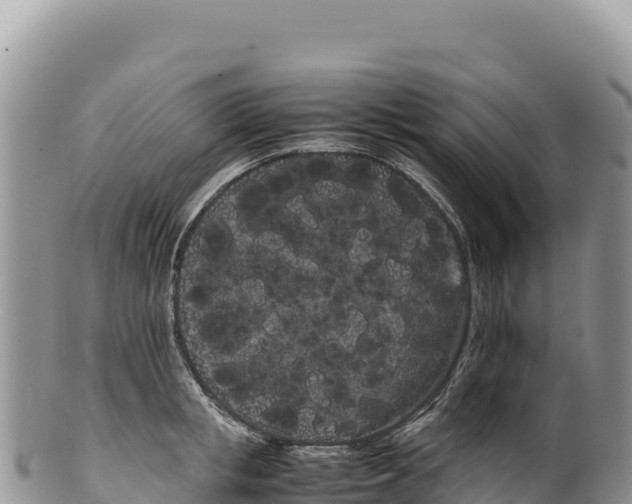 X0000100220853200806201506