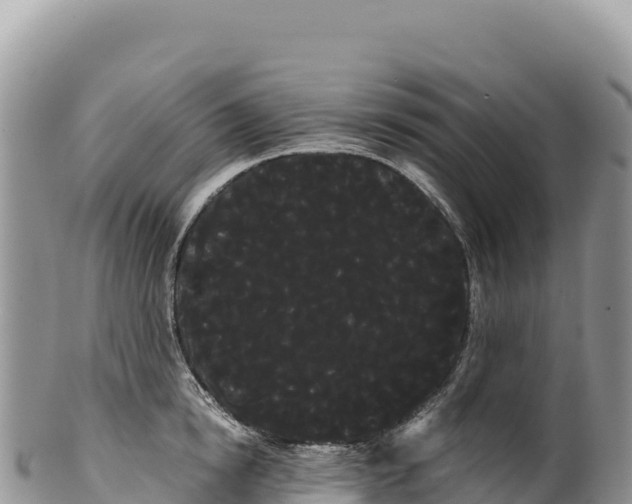 X0000100220854200806201506