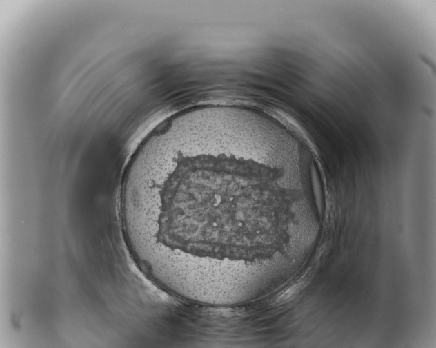 X0000100220855200806201506