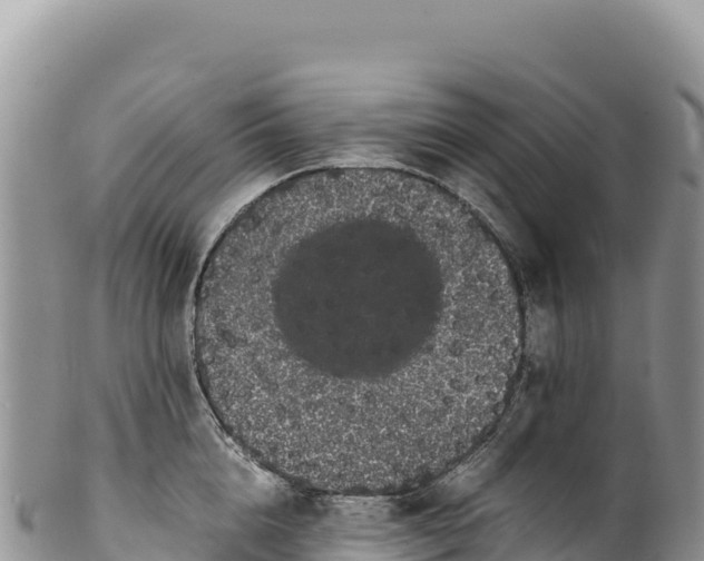 X0000100220856200806201506