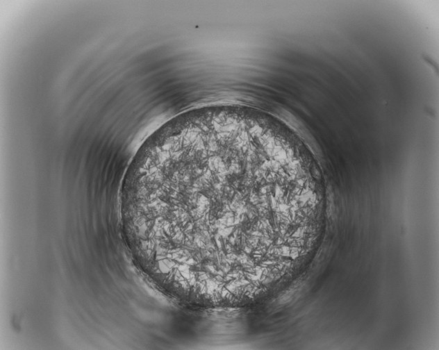 X0000100220858200806201506