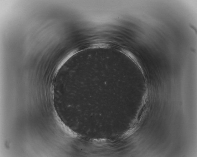 X0000100220859200806201506