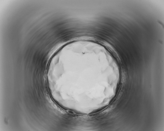 X0000100220860200806201506