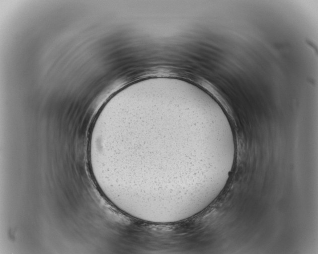 X0000100220861200806201506