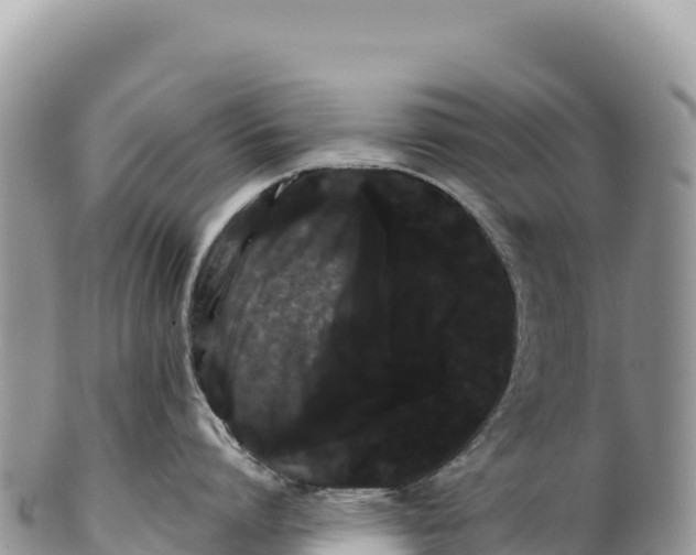 X0000100220864200806201506