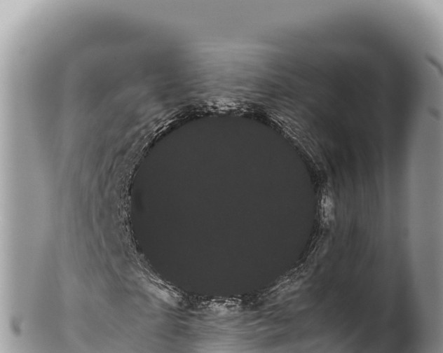 X0000100220865200806201505