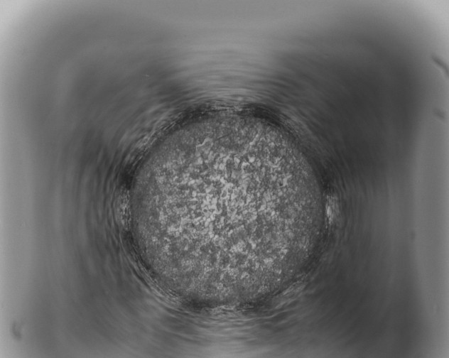 X0000100220867200806201505