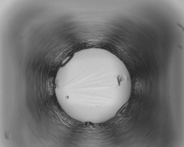 X0000100220868200806201505