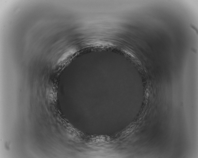 X0000100220869200806201505