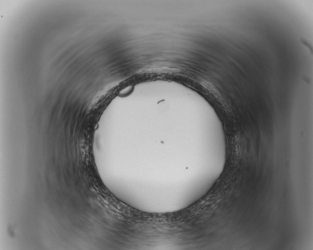 X0000100220872200806201505