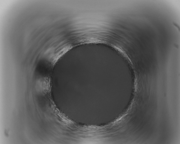 X0000100220873200806201505