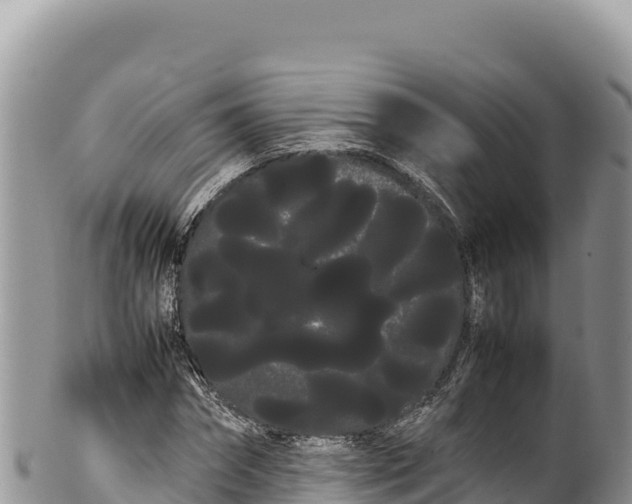 X0000100220874200806201505