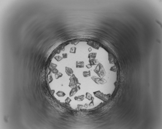 X0000100220875200806201505