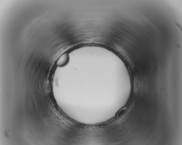 X0000100220876200806201505