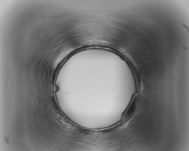 X0000100220877200806201505