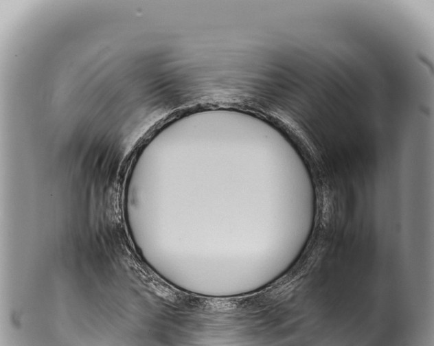 X0000100220878200806201505