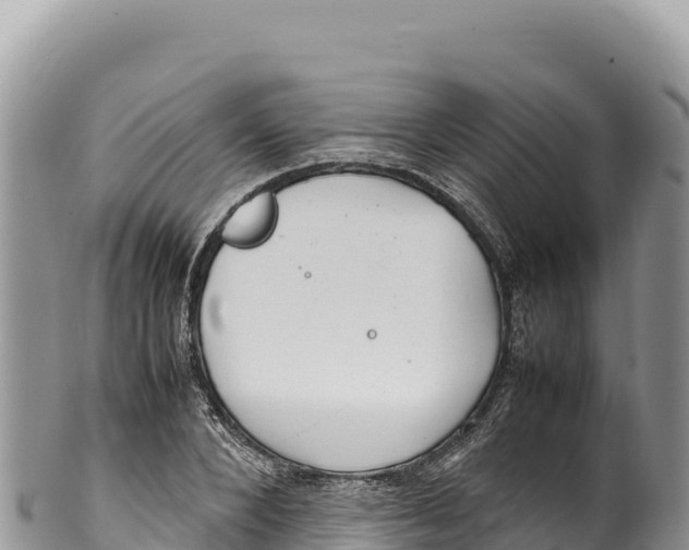 X0000100220880200806201505