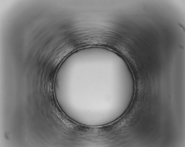 X0000100220881200806201505