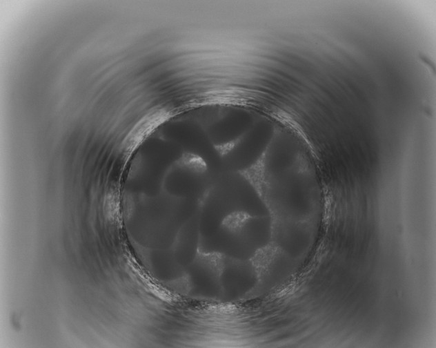 X0000100220882200806201505