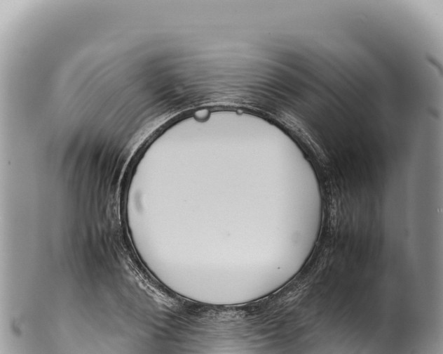 X0000100220884200806201505