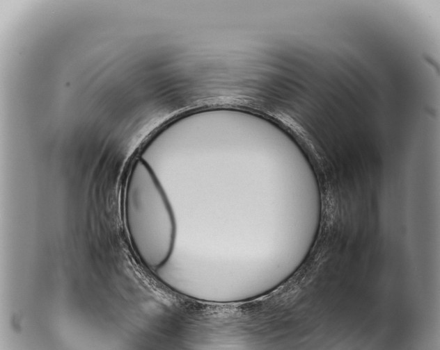 X0000100220886200806201505