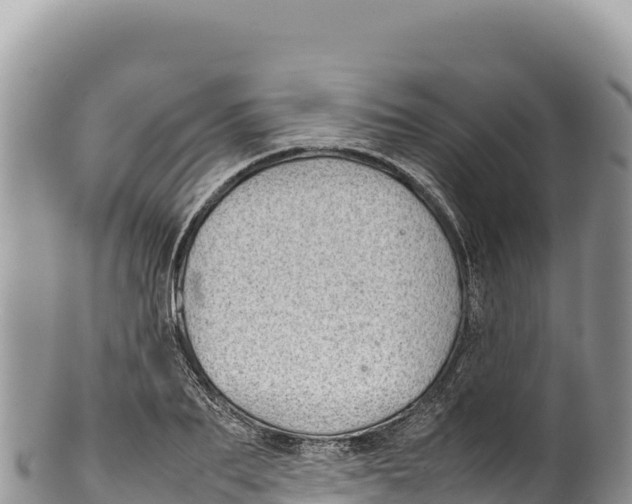 X0000100220887200806201505