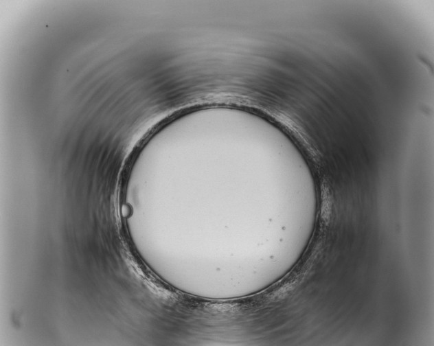 X0000100220888200806201505