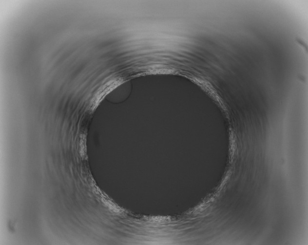 X0000100220889200806201505