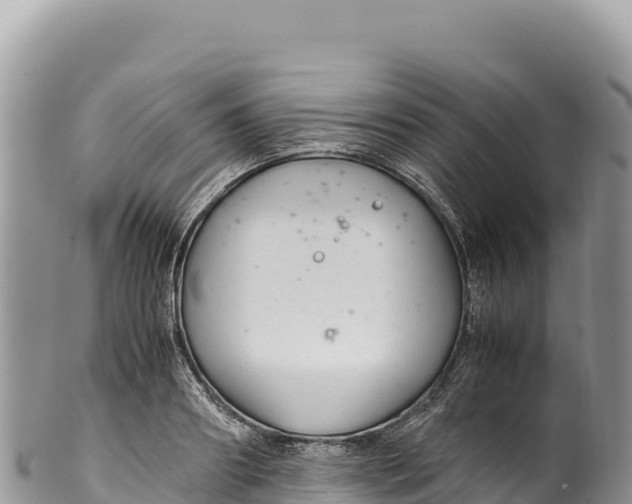 X0000100220890200806201505