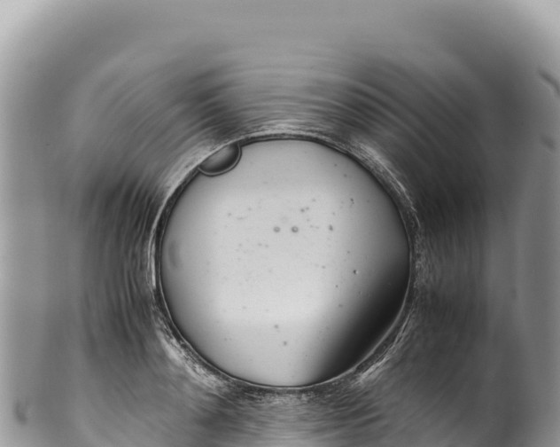 X0000100220892200806201505