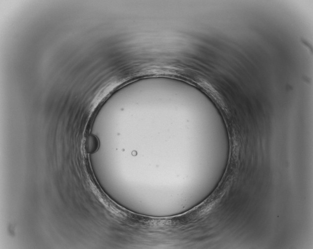 X0000100220893200806201505