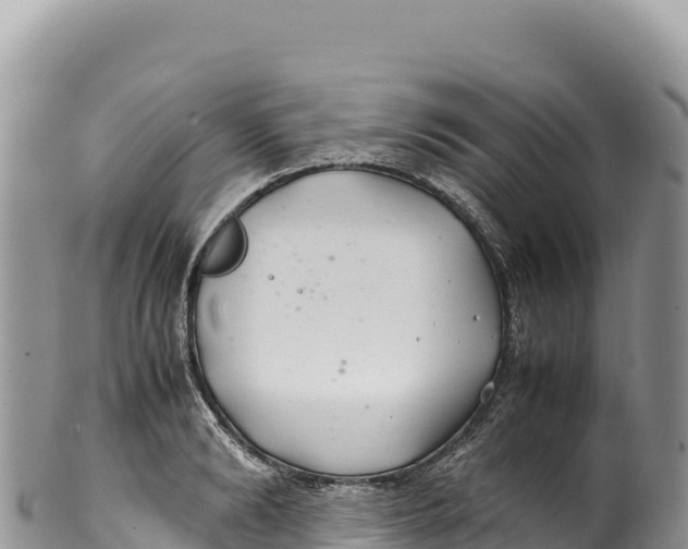 X0000100220894200806201505