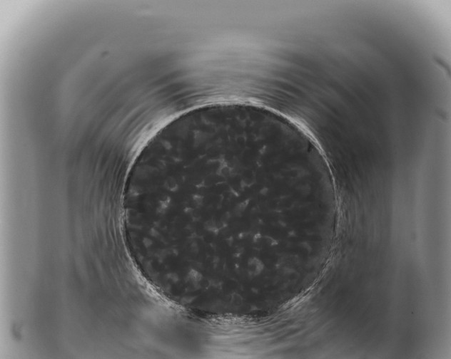 X0000100220895200806201505