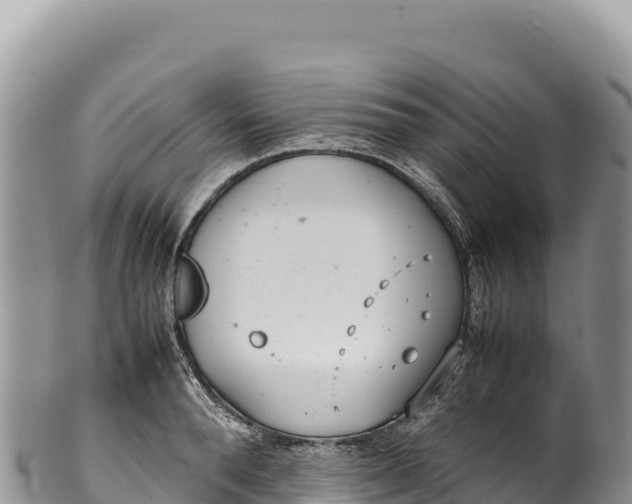 X0000100220896200806201505