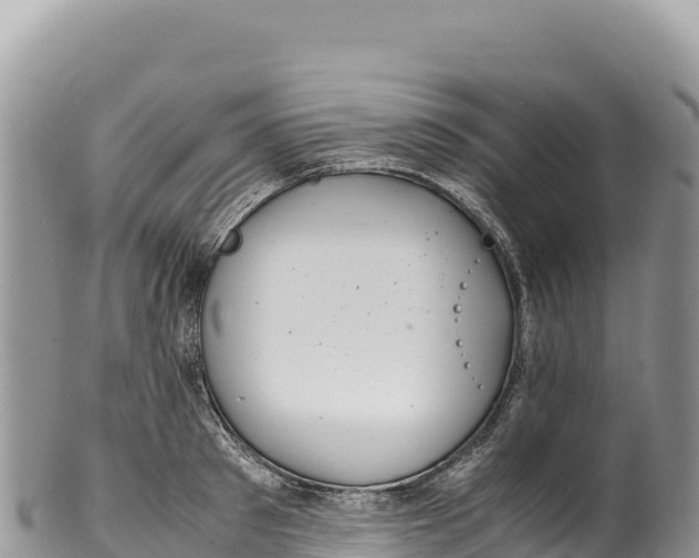 X0000100220897200806201505