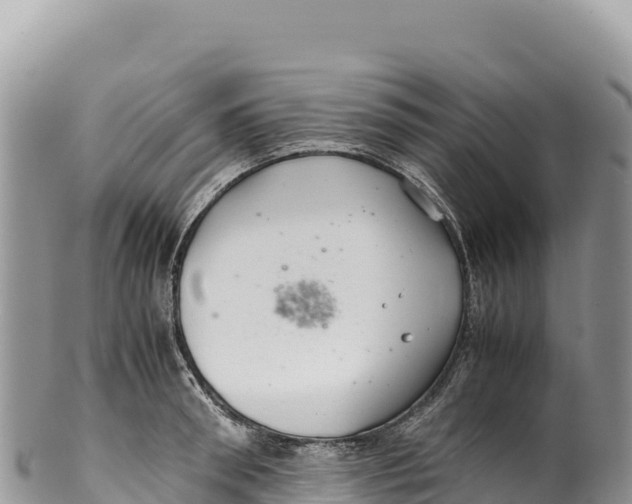 X0000100220898200806201505