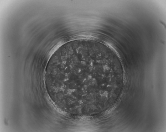 X0000100220899200806201505