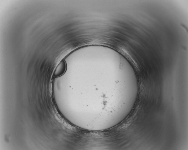 X0000100220900200806201505