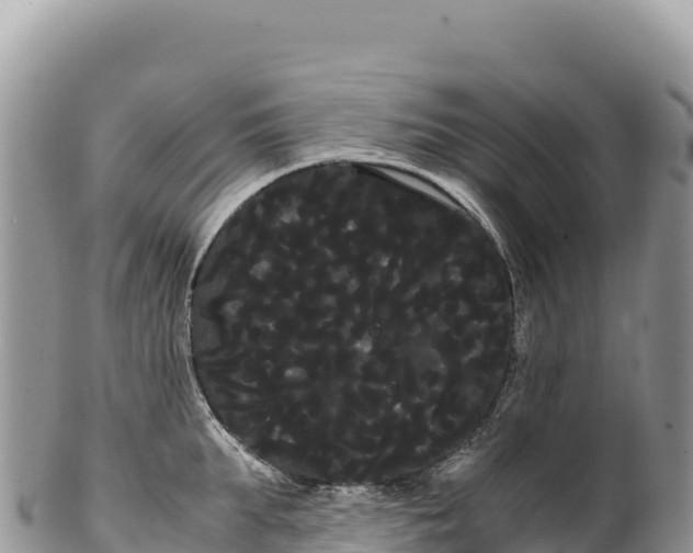 X0000100220903200806201505