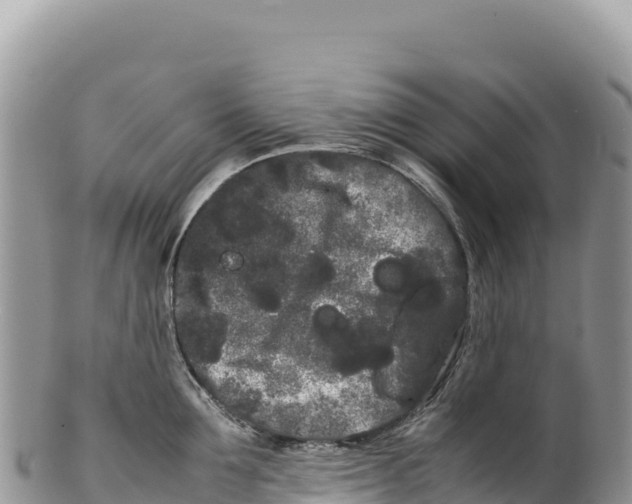 X0000100220907200806201505