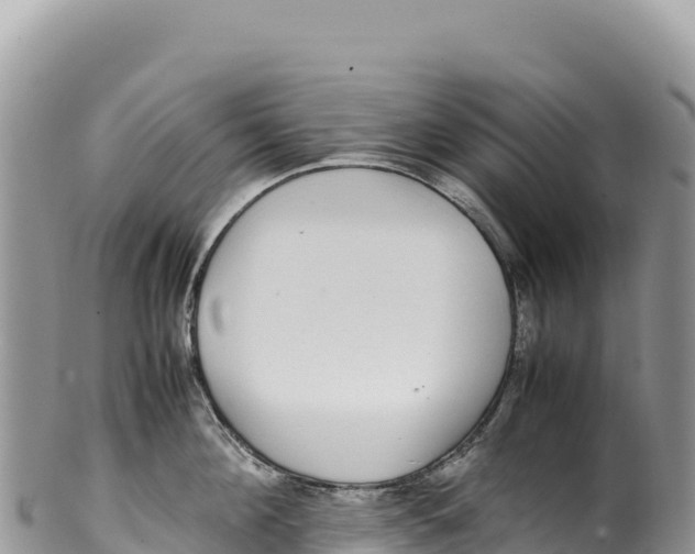 X0000100220908200806201504