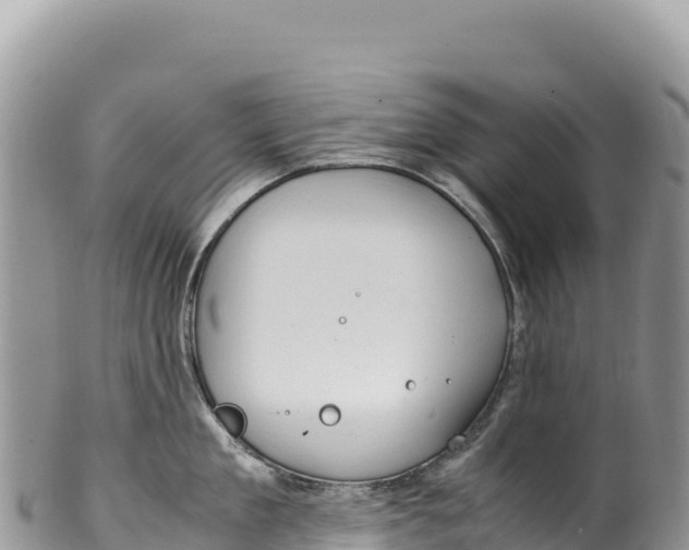 X0000100220909200806201504